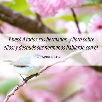 Picture 06 - Génesis 45:15 RVA - Y besó á todos sus hermanos, y lloró sobre - Bible Verse Picture