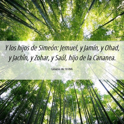 Picture 06 - Génesis 46:10 RVA - Y los hijos de Simeón: Jemuel, y Jamín, y Ohad, - Bible Verse Picture