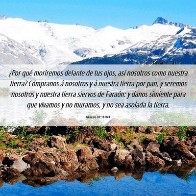 Picture 06 - Génesis 47:19 RVA - ¿Por qué moriremos delante de tus ojos, así - Bible Verse Picture