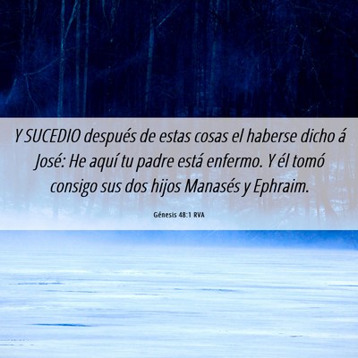 Picture 06 - Génesis 48:1 RVA - Y SUCEDIO después de estas cosas el haberse - Bible Verse Picture