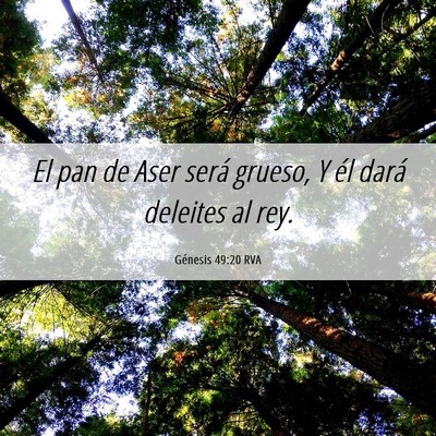 Picture 06 - Génesis 49:20 RVA - El pan de Aser será grueso, Y él dará deleites - Bible Verse Picture