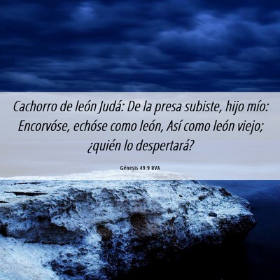 Picture 06 - Génesis 49:9 RVA - Cachorro de león Judá: De la presa subiste, - Bible Verse Picture