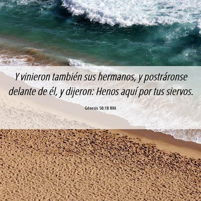 Picture 06 - Génesis 50:18 RVA - Y vinieron también sus hermanos, y postráronse - Bible Verse Picture