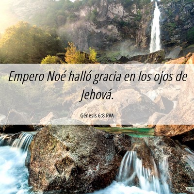 Picture 06 - Génesis 6:8 RVA - Empero Noé halló gracia en los ojos de - Bible Verse Picture