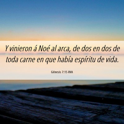 Picture 06 - Génesis 7:15 RVA - Y vinieron á Noé al arca, de dos en dos de toda - Bible Verse Picture