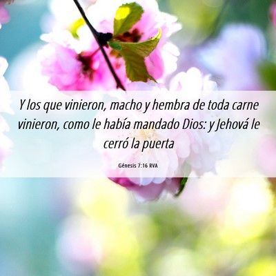 Picture 06 - Génesis 7:16 RVA - Y los que vinieron, macho y hembra de toda carne - Bible Verse Picture