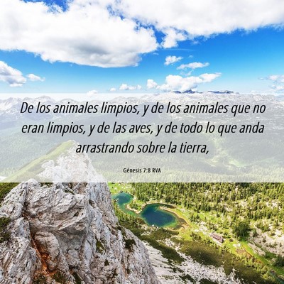Picture 06 - Génesis 7:8 RVA - De los animales limpios, y de los animales que no - Bible Verse Picture