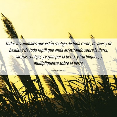Picture 06 - Génesis 8:17 RVA - Todos los animales que están contigo de toda - Bible Verse Picture
