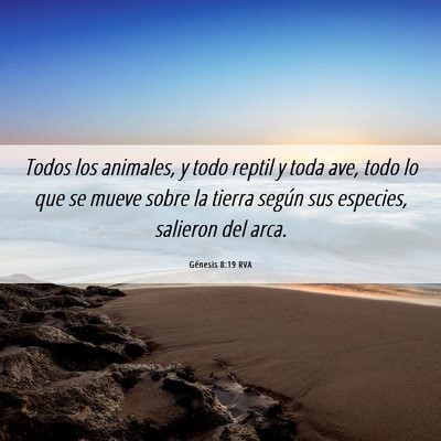 Picture 06 - Génesis 8:19 RVA - Todos los animales, y todo reptil y toda ave, - Bible Verse Picture