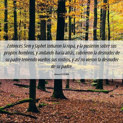 Picture 06 - Génesis 9:23 RVA - Entonces Sem y Japhet tomaron la ropa, y la - Bible Verse Picture