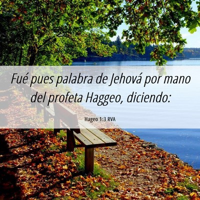 Picture 06 - Hageo 1:3 RVA - Fué pues palabra de Jehová por mano del profeta - Bible Verse Picture