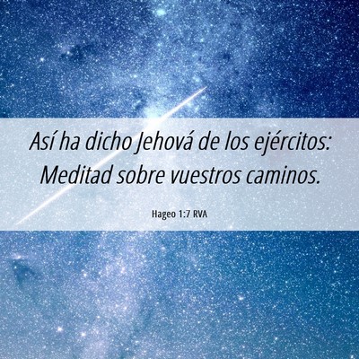 Picture 06 - Hageo 1:7 RVA - Así ha dicho Jehová de los ejércitos: Meditad - Bible Verse Picture