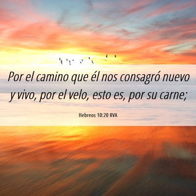 Picture 06 - Hebreos 10:20 RVA - Por el camino que él nos consagró nuevo y vivo, - Bible Verse Picture