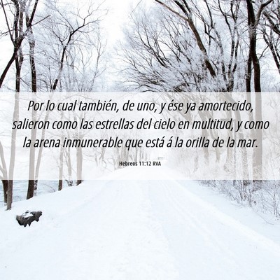 Picture 06 - Hebreos 11:12 RVA - Por lo cual también, de uno, y ése ya - Bible Verse Picture