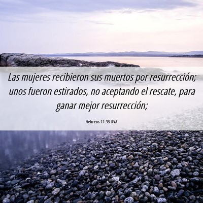 Picture 06 - Hebreos 11:35 RVA - Las mujeres recibieron sus muertos por - Bible Verse Picture