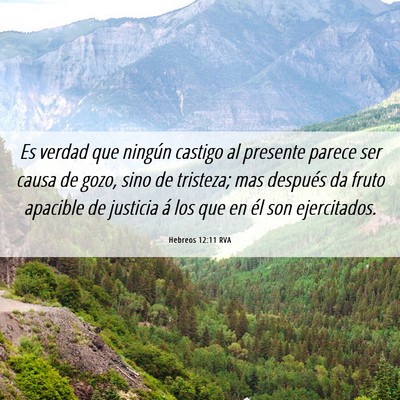 Picture 06 - Hebreos 12:11 RVA - Es verdad que ningún castigo al presente parece - Bible Verse Picture