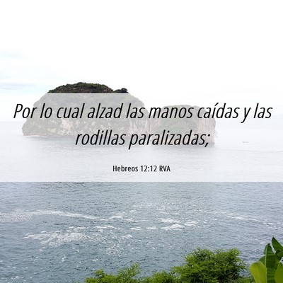 Picture 06 - Hebreos 12:12 RVA - Por lo cual alzad las manos caídas y las - Bible Verse Picture