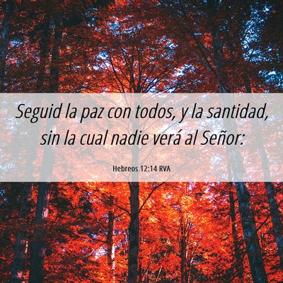 Picture 06 - Hebreos 12:14 RVA - Seguid la paz con todos, y la santidad, sin la - Bible Verse Picture