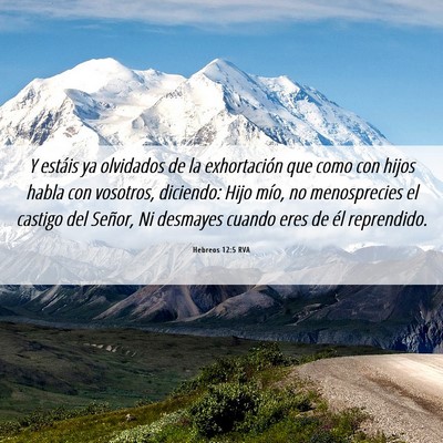 Picture 06 - Hebreos 12:5 RVA - Y estáis ya olvidados de la exhortación que - Bible Verse Picture