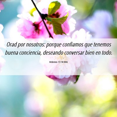 Picture 06 - Hebreos 13:18 RVA - Orad por nosotros: porque confiamos que tenemos - Bible Verse Picture