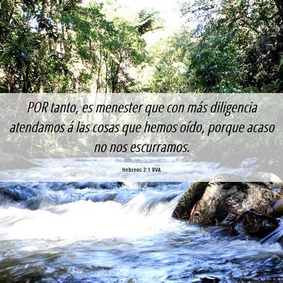 Picture 06 - Hebreos 2:1 RVA - POR tanto, es menester que con más diligencia - Bible Verse Picture