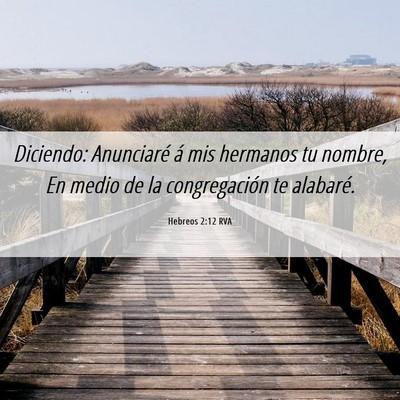 Picture 06 - Hebreos 2:12 RVA - Diciendo: Anunciaré á mis hermanos tu nombre, - Bible Verse Picture