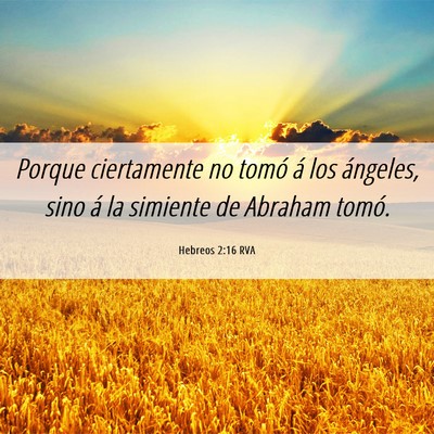 Picture 06 - Hebreos 2:16 RVA - Porque ciertamente no tomó á los ángeles, sino - Bible Verse Picture