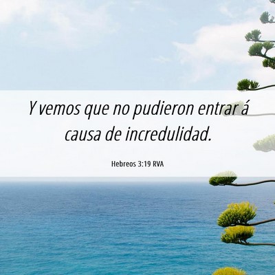 Picture 06 - Hebreos 3:19 RVA - Y vemos que no pudieron entrar á causa de - Bible Verse Picture