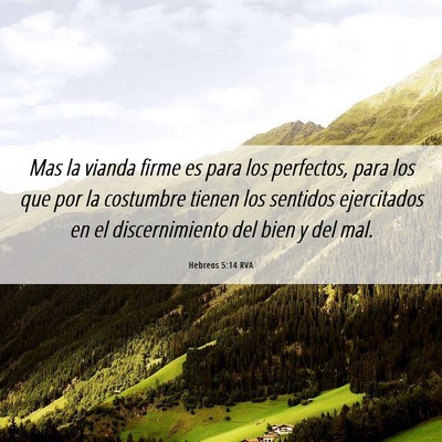 Picture 06 - Hebreos 5:14 RVA - Mas la vianda firme es para los perfectos, para - Bible Verse Picture