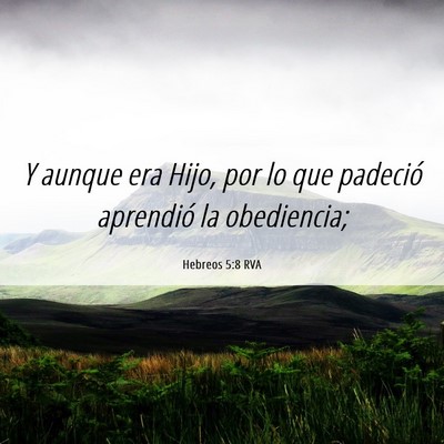 Picture 06 - Hebreos 5:8 RVA - Y aunque era Hijo, por lo que padeció aprendió - Bible Verse Picture