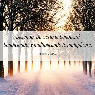 Picture 06 - Hebreos 6:14 RVA - Diciendo: De cierto te bendeciré bendiciendo, y - Bible Verse Picture