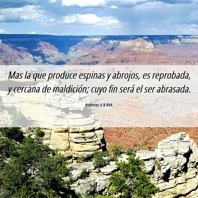 Picture 06 - Hebreos 6:8 RVA - Mas la que produce espinas y abrojos, es - Bible Verse Picture
