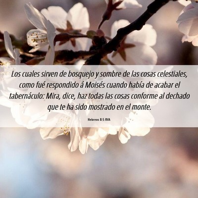 Picture 06 - Hebreos 8:5 RVA - Los cuales sirven de bosquejo y sombre de las - Bible Verse Picture