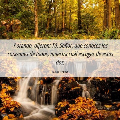 Picture 06 - Hechos 1:24 RVA - Y orando, dijeron: Tú, Señor, que conoces los - Bible Verse Picture