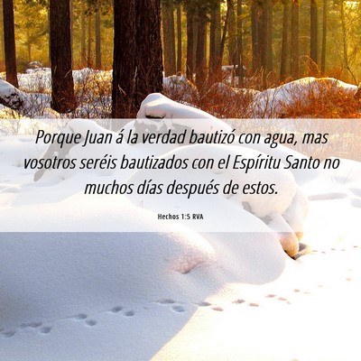 Picture 06 - Hechos 1:5 RVA - Porque Juan á la verdad bautizó con agua, mas - Bible Verse Picture