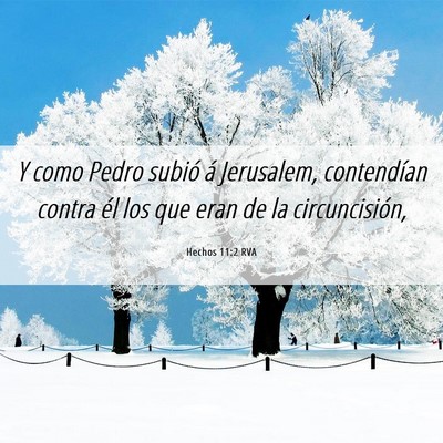 Picture 06 - Hechos 11:2 RVA - Y como Pedro subió á Jerusalem, contendían - Bible Verse Picture