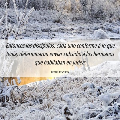Picture 06 - Hechos 11:29 RVA - Entonces los discípulos, cada uno conforme á lo - Bible Verse Picture