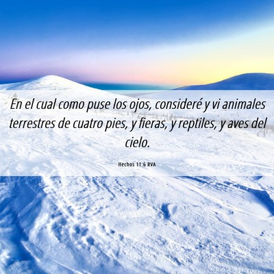 Picture 06 - Hechos 11:6 RVA - En el cual como puse los ojos, consideré y vi - Bible Verse Picture
