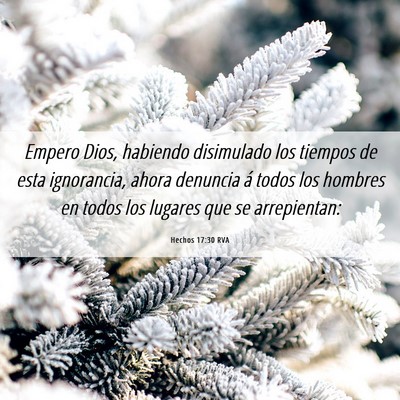 Picture 06 - Hechos 17:30 RVA - Empero Dios, habiendo disimulado los tiempos de - Bible Verse Picture