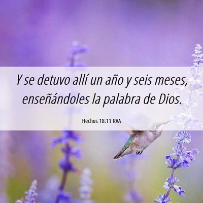 Picture 06 - Hechos 18:11 RVA - Y se detuvo allí un año y seis meses, - Bible Verse Picture