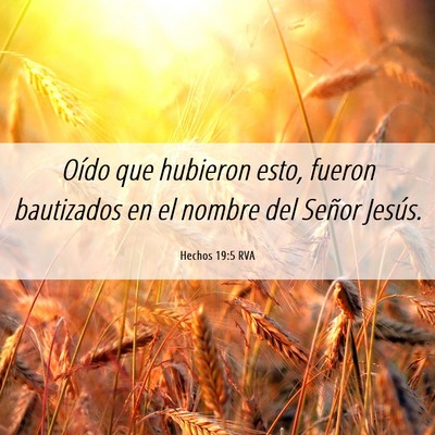 Picture 06 - Hechos 19:5 RVA - Oído que hubieron esto, fueron bautizados en el - Bible Verse Picture