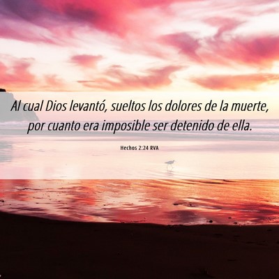 Picture 06 - Hechos 2:24 RVA - Al cual Dios levantó, sueltos los dolores de la - Bible Verse Picture