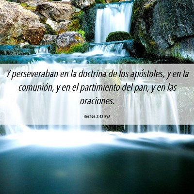Picture 06 - Hechos 2:42 RVA - Y perseveraban en la doctrina de los apóstoles, - Bible Verse Picture