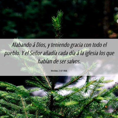 Picture 06 - Hechos 2:47 RVA - Alabando á Dios, y teniendo gracia con todo el - Bible Verse Picture