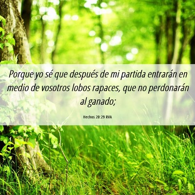Picture 06 - Hechos 20:29 RVA - Porque yo sé que después de mi partida - Bible Verse Picture
