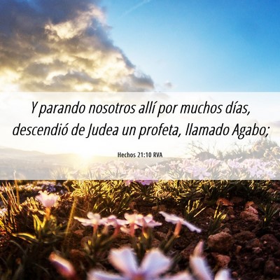Picture 06 - Hechos 21:10 RVA - Y parando nosotros allí por muchos días, - Bible Verse Picture