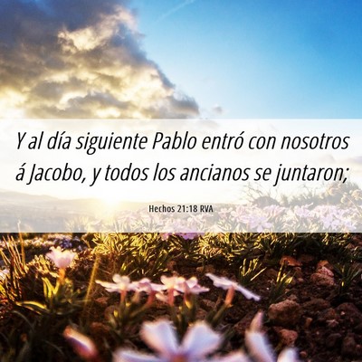 Picture 06 - Hechos 21:18 RVA - Y al día siguiente Pablo entró con nosotros á - Bible Verse Picture