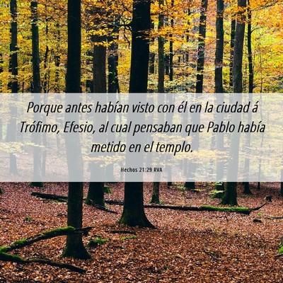Picture 06 - Hechos 21:29 RVA - Porque antes habían visto con él en la ciudad - Bible Verse Picture