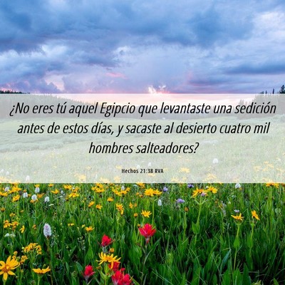Picture 06 - Hechos 21:38 RVA - ¿No eres tú aquel Egipcio que levantaste una - Bible Verse Picture