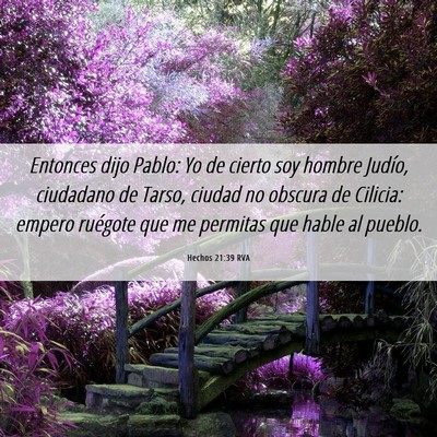 Picture 06 - Hechos 21:39 RVA - Entonces dijo Pablo: Yo de cierto soy hombre - Bible Verse Picture